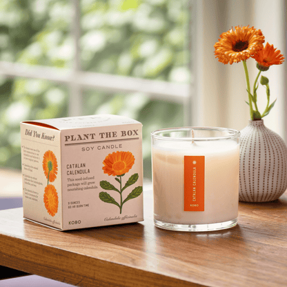 KOBO Catalan Calendula Plant the Box Candle (9 oz) #10068954