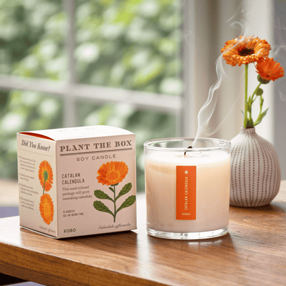 KOBO Catalan Calendula Plant the Box Candle (9 oz) #10068954