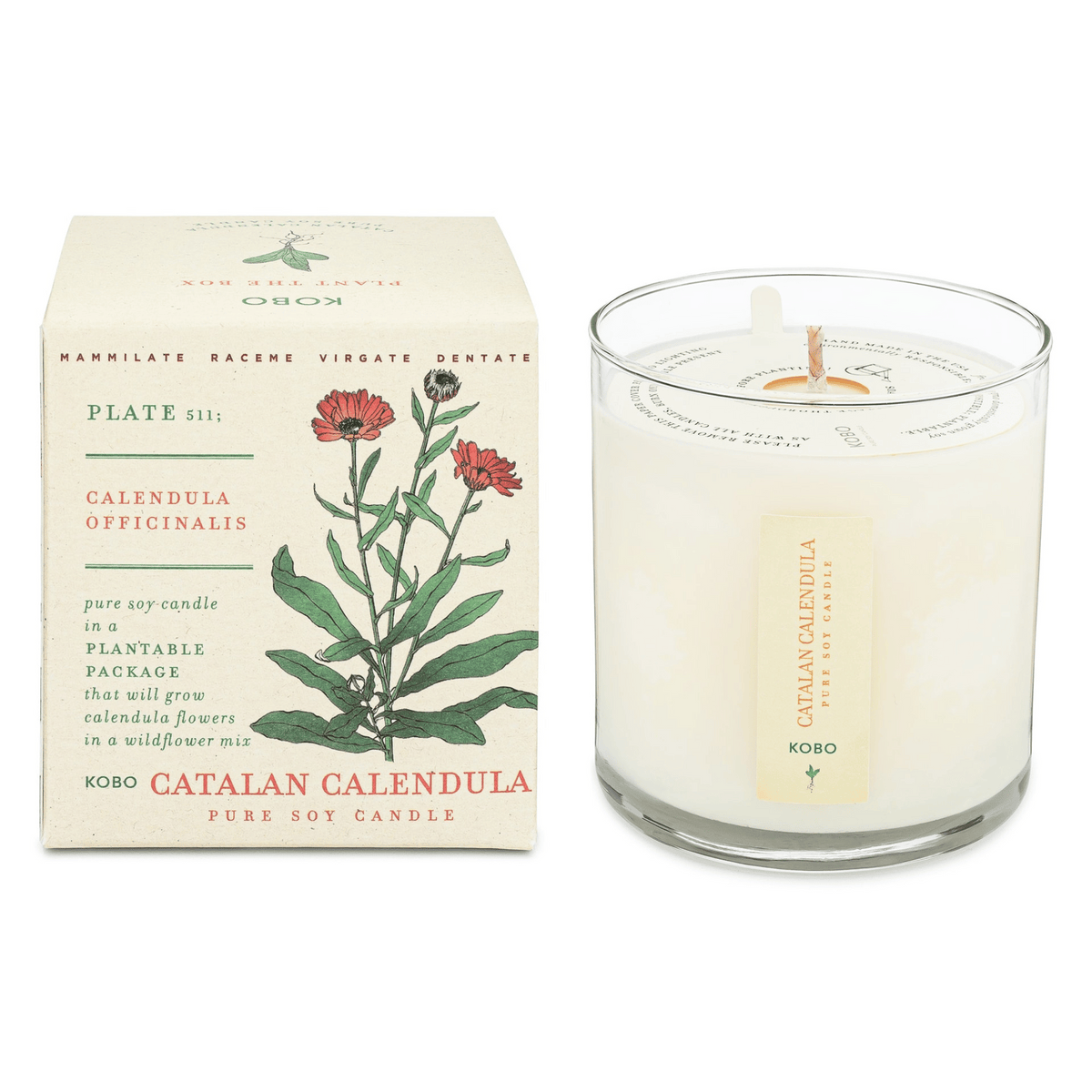 Primary Image of Catalan Calendula Plant the Box Candle