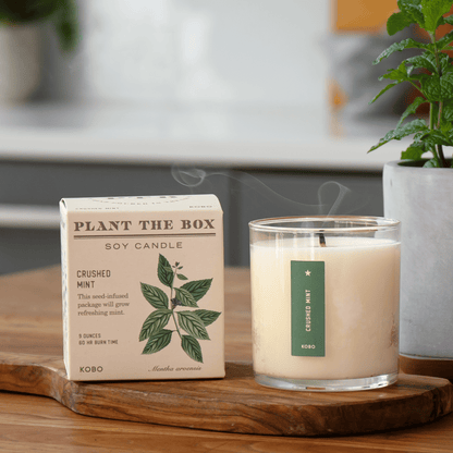 Alternate Image of Crushed Mint Plant the Box Candle