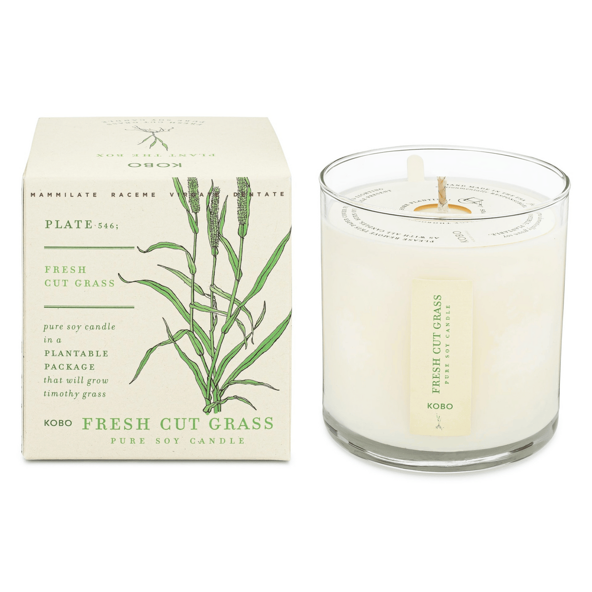 Primary Image of Fresh Cut Grass Plant the Box Candle