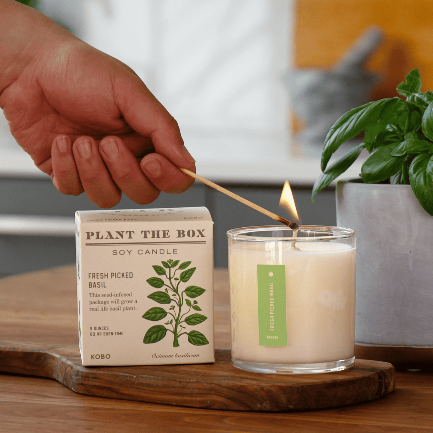 Alternate Image of Fresh Picked Basil Plant the Box Candle