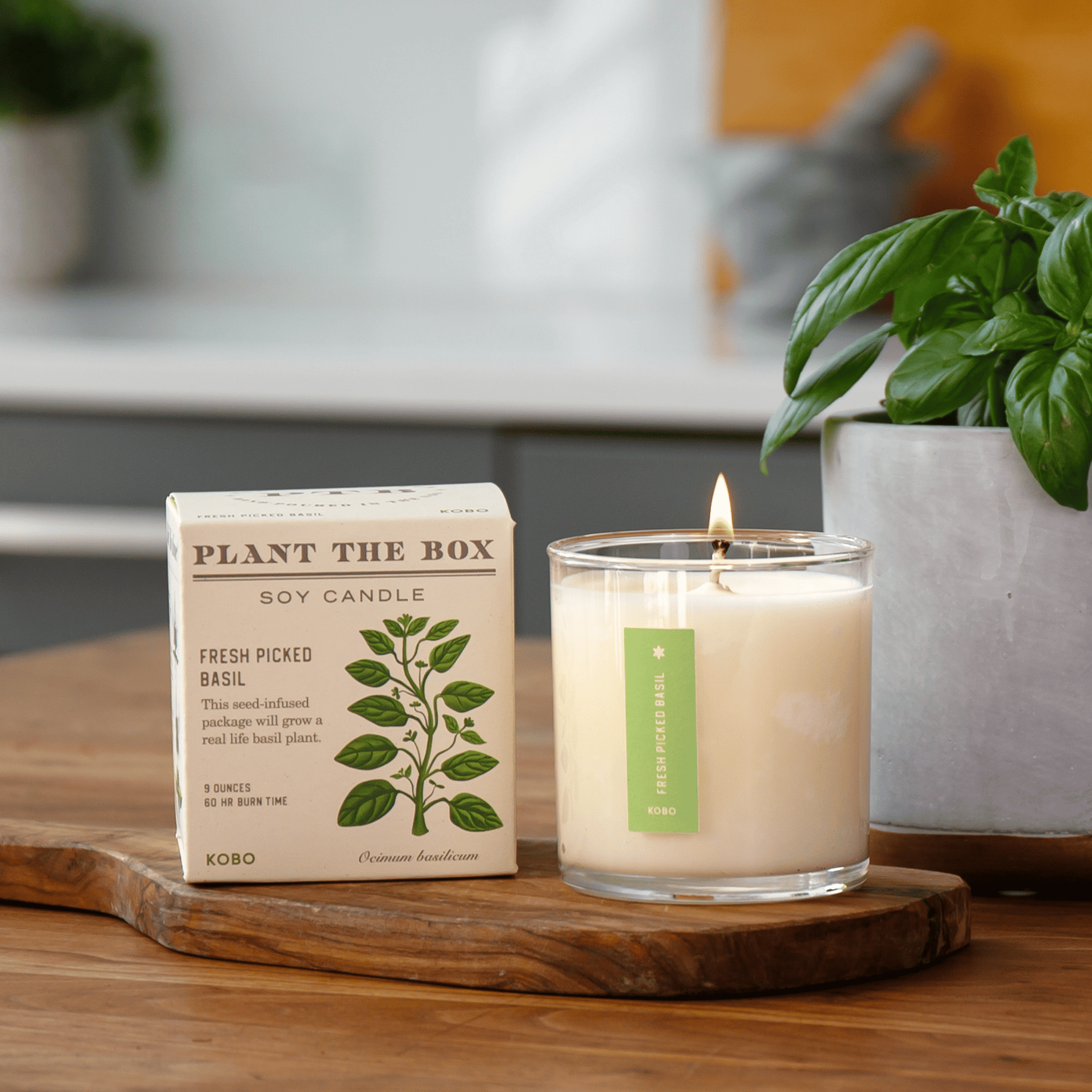 Alternate Image of Fresh Picked Basil Plant the Box Candle
