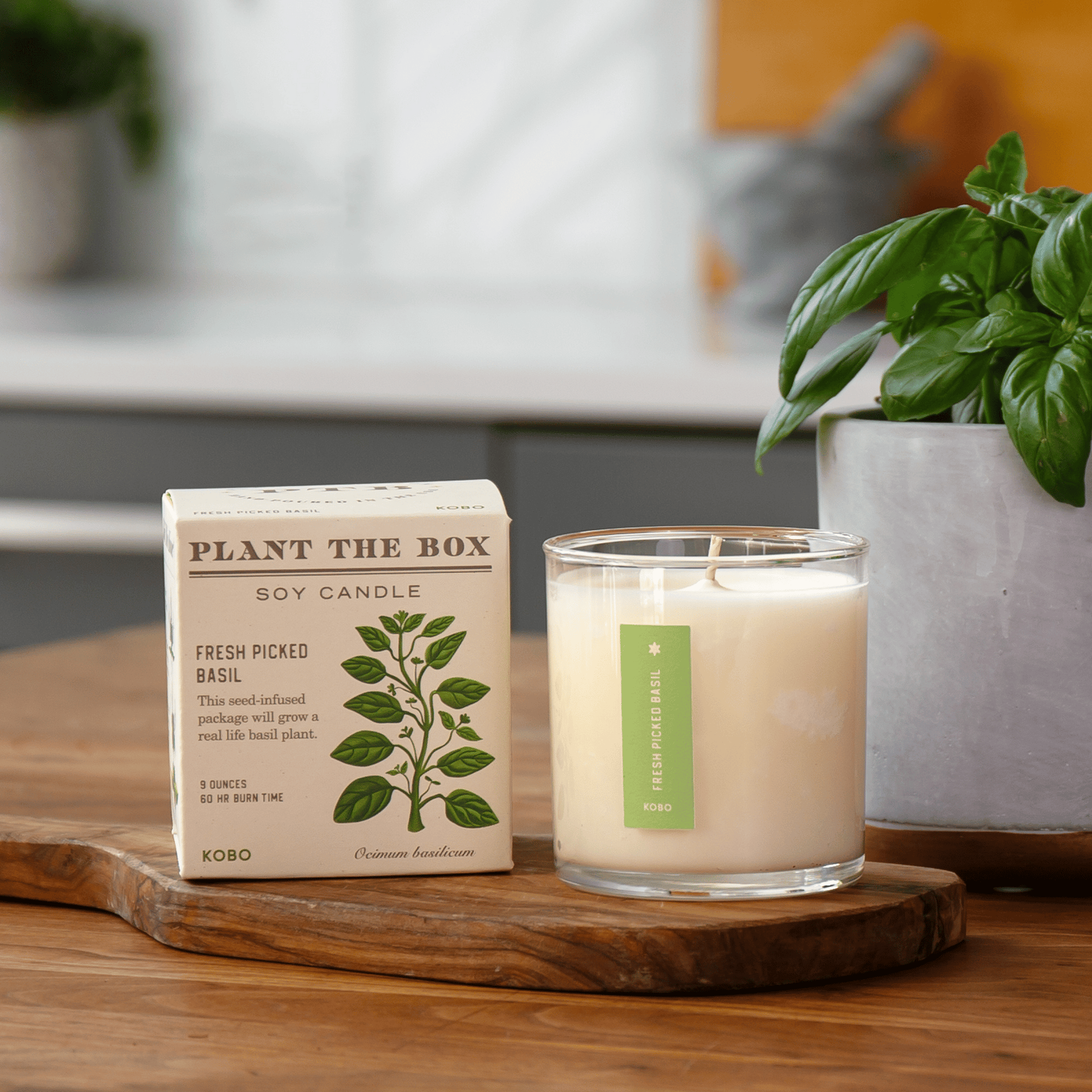Alternate Image of Fresh Picked Basil Plant the Box Candle