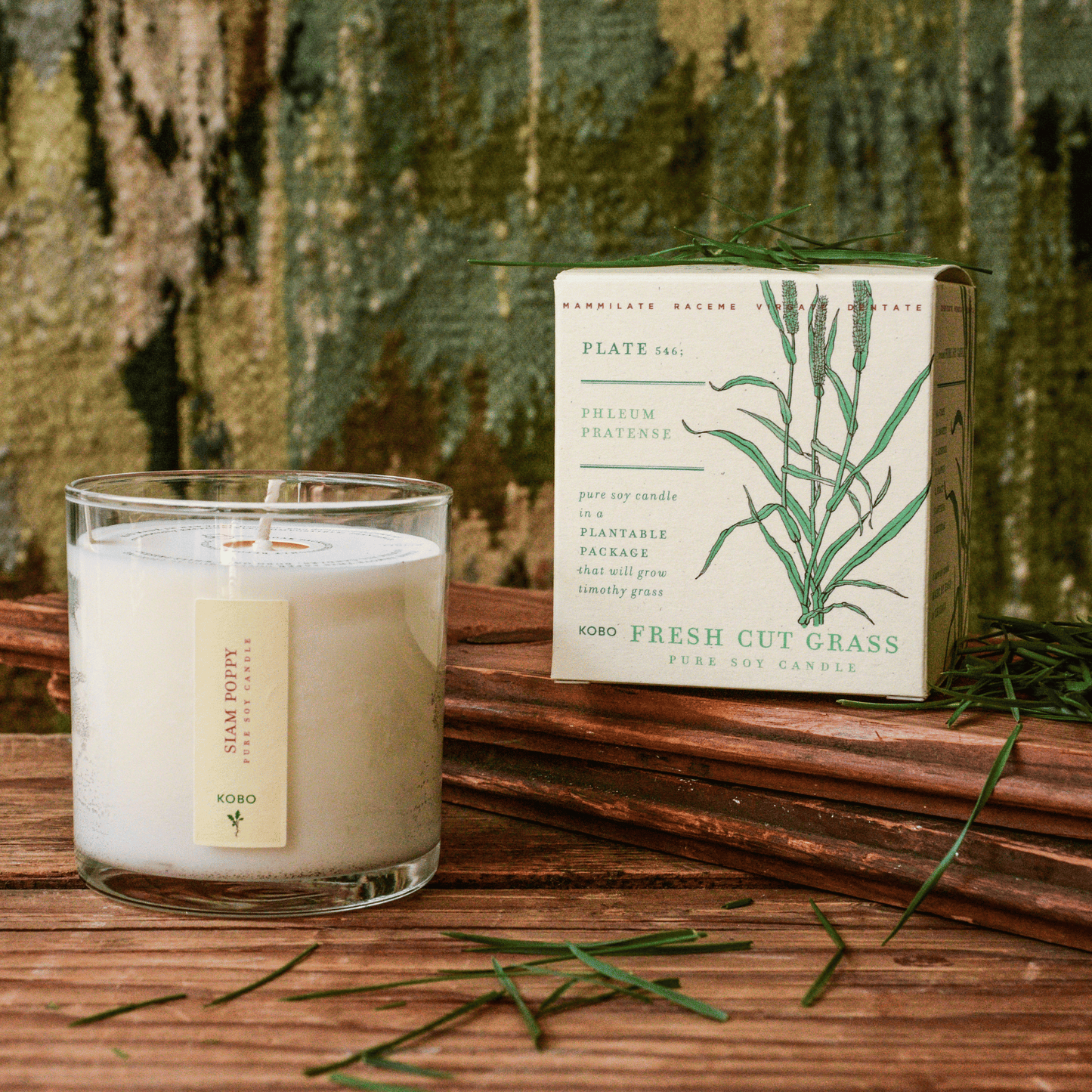 Alternate Image of Fresh Cut Grass Plant the Box Candle