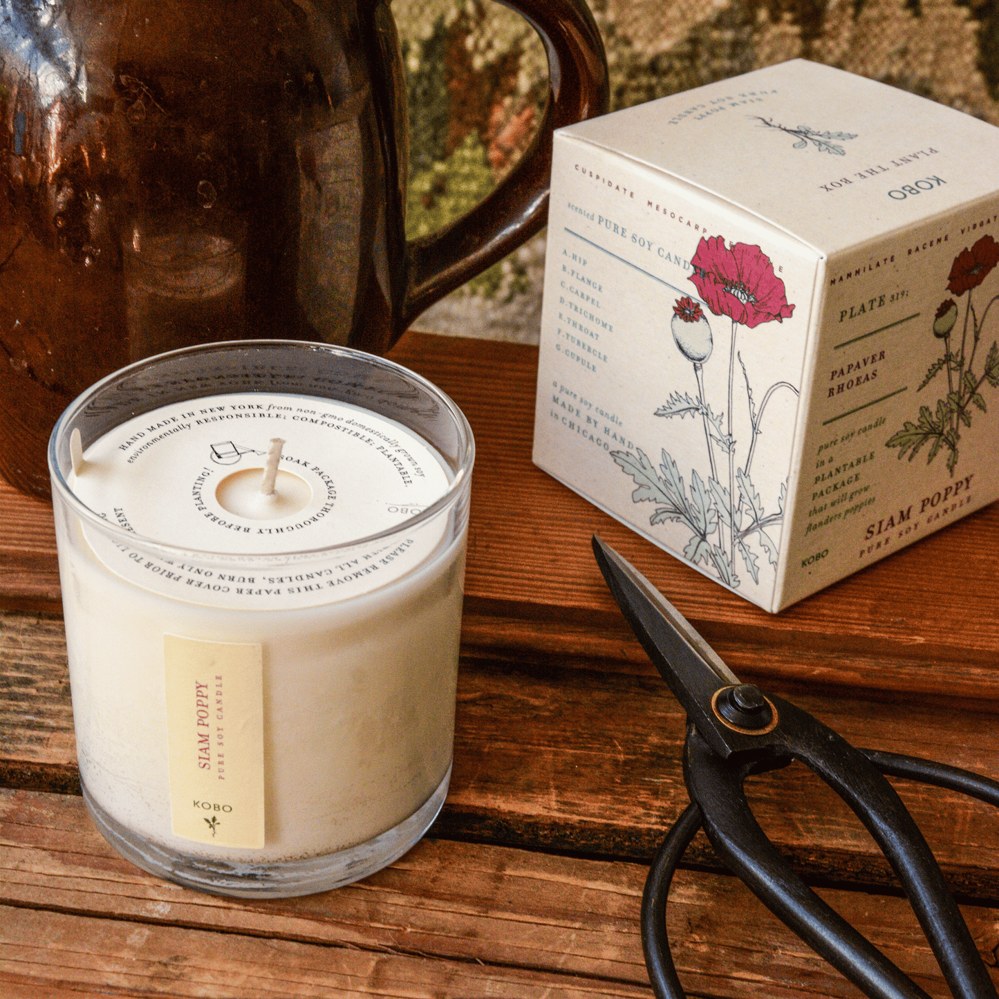 Alternate Image of Siam Poppy Plant the Box Candle