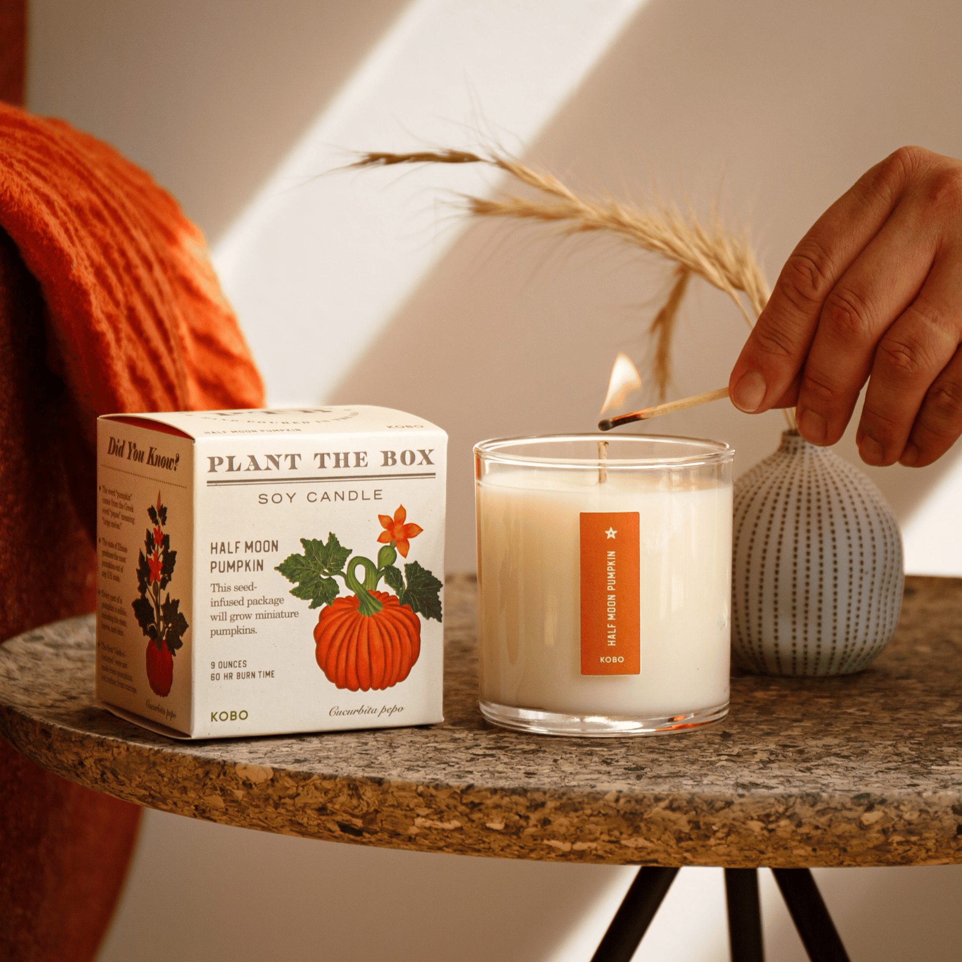 Alternate Image of Half Moon Pumpkin Plant The Box Candle