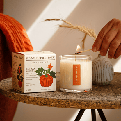 Alternate Image of Half Moon Pumpkin Plant The Box Candle