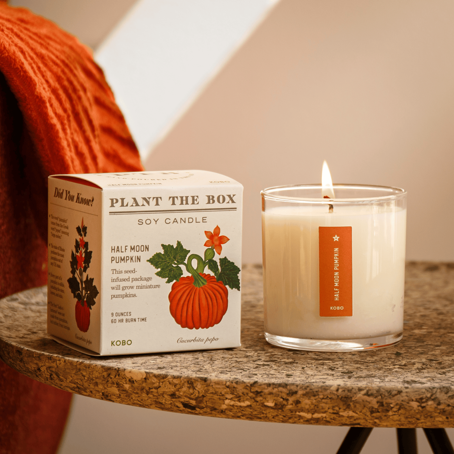 Alternate Image of Half Moon Pumpkin Plant The Box Candle