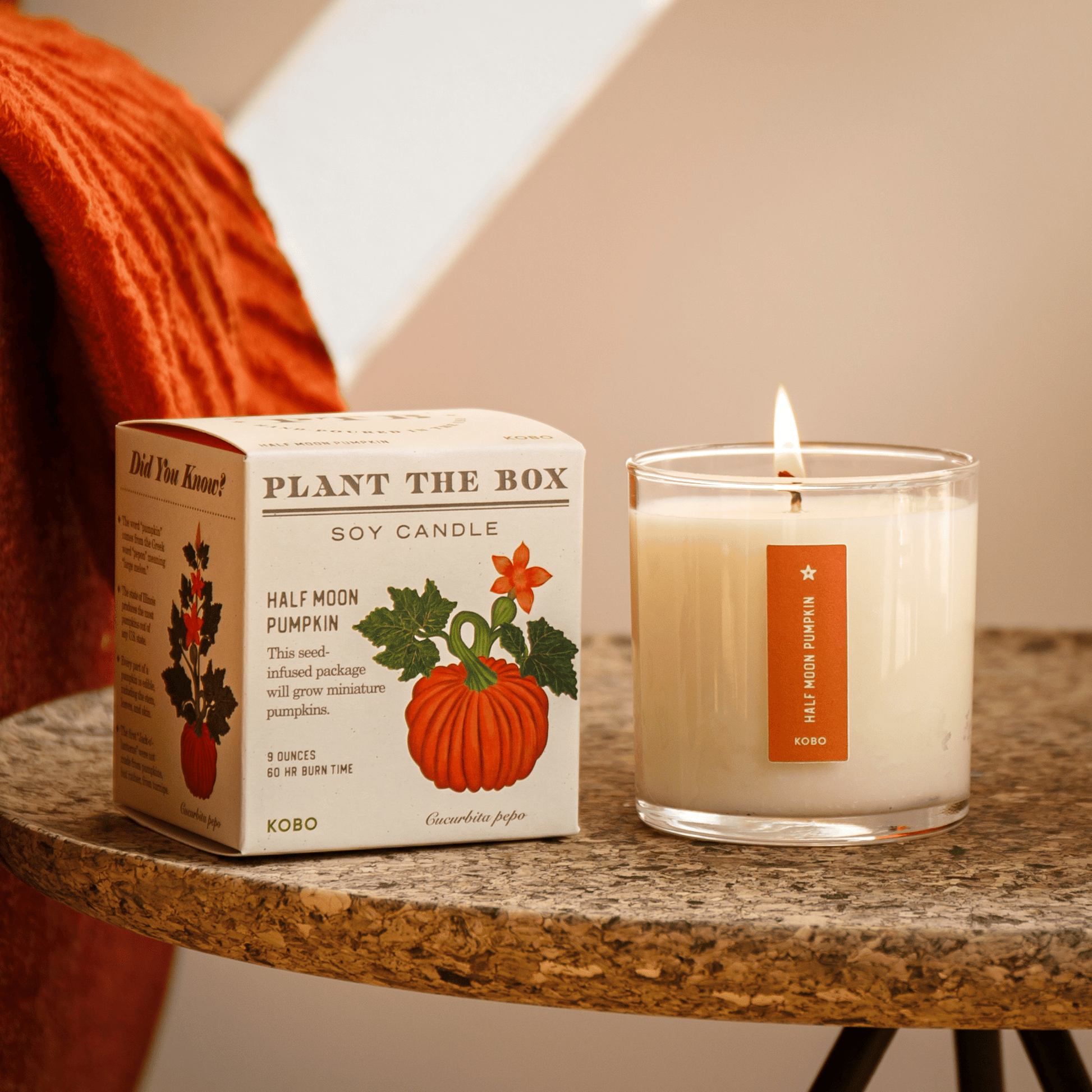 Alternate Image of Half Moon Pumpkin Plant The Box Candle