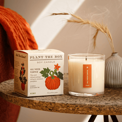 Alternate Image of Half Moon Pumpkin Plant The Box Candle