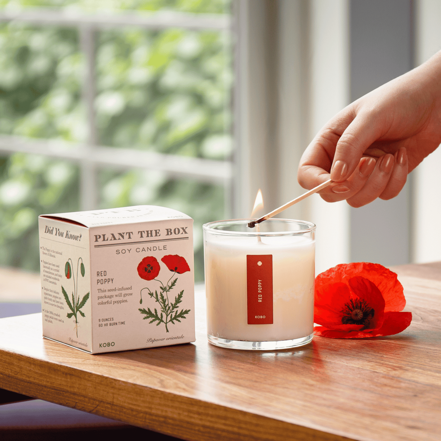 Alternate Image of Red Poppy Plant the Box Candle