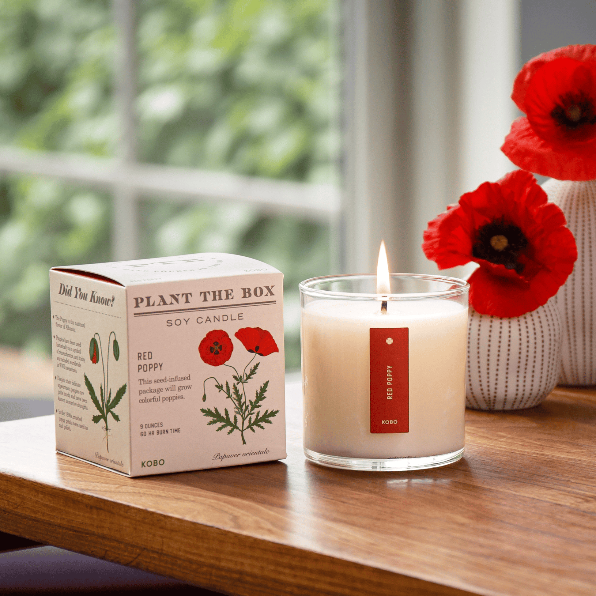 Alternate Image of Red Poppy Plant the Box Candle