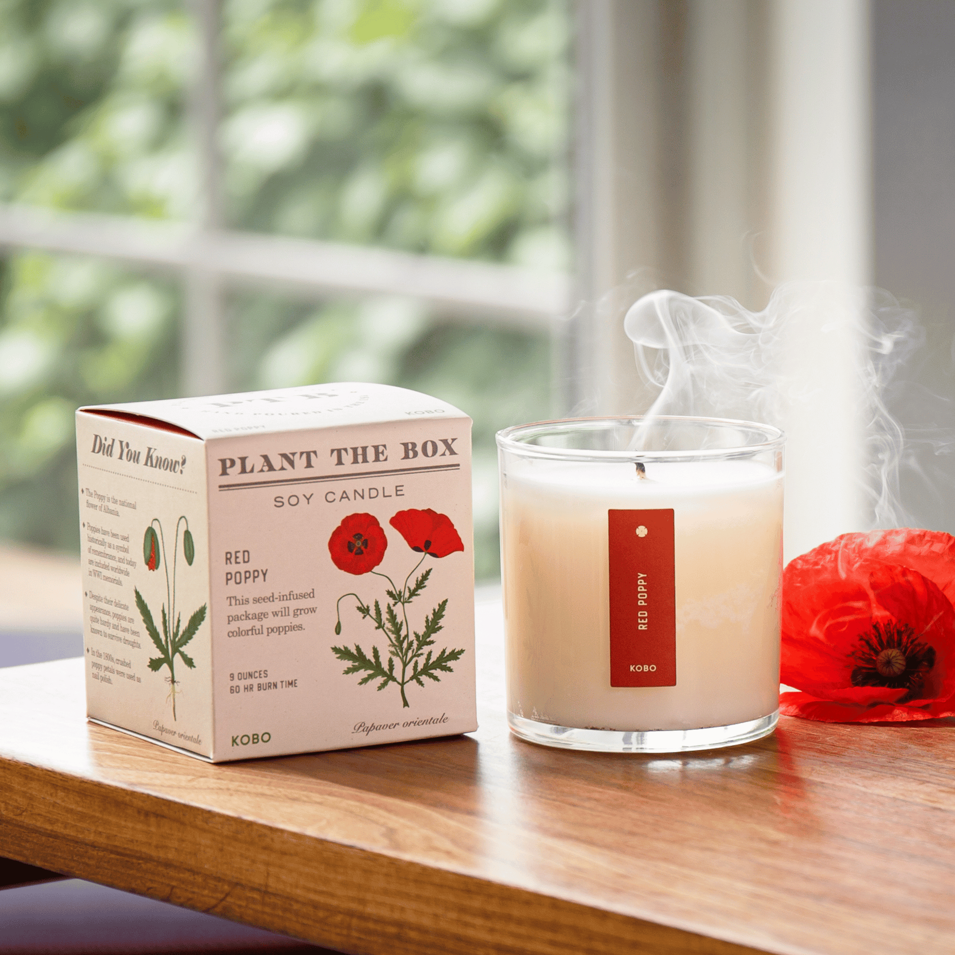 Alternate Image of Red Poppy Plant the Box Candle