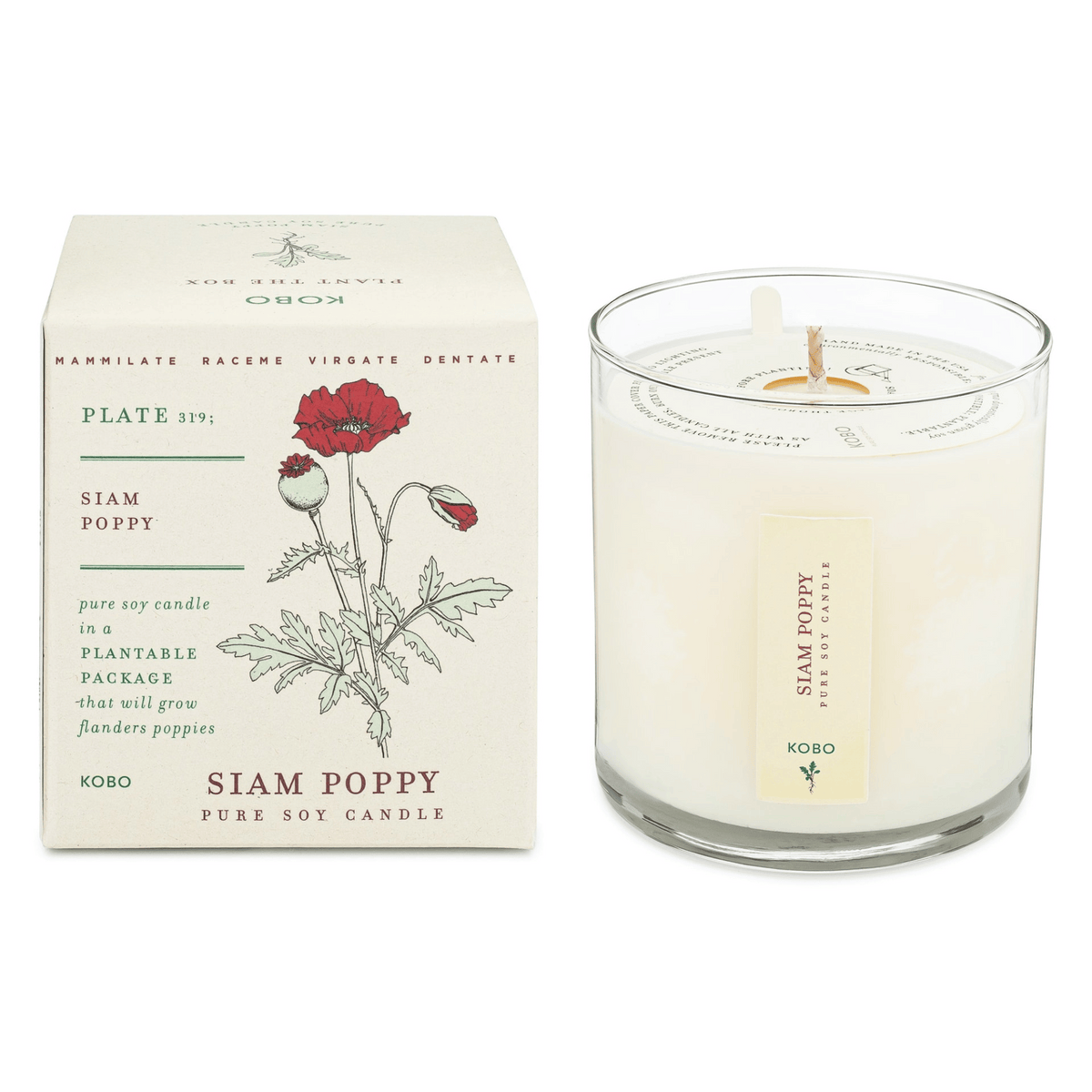 Primary Image of Siam Poppy Plant the Box Candle