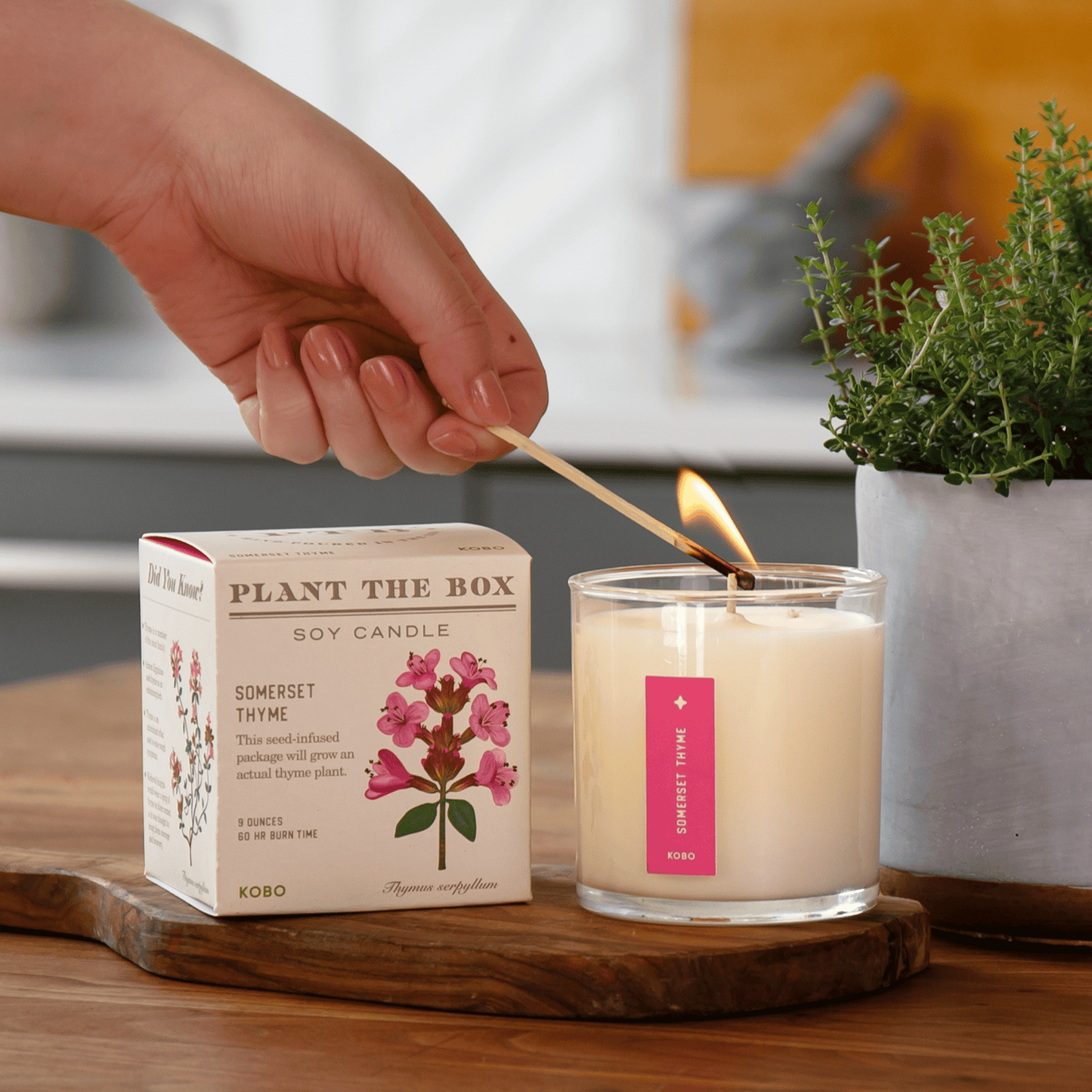 Alternate Image of Somerset Thyme Plant the Box Candle