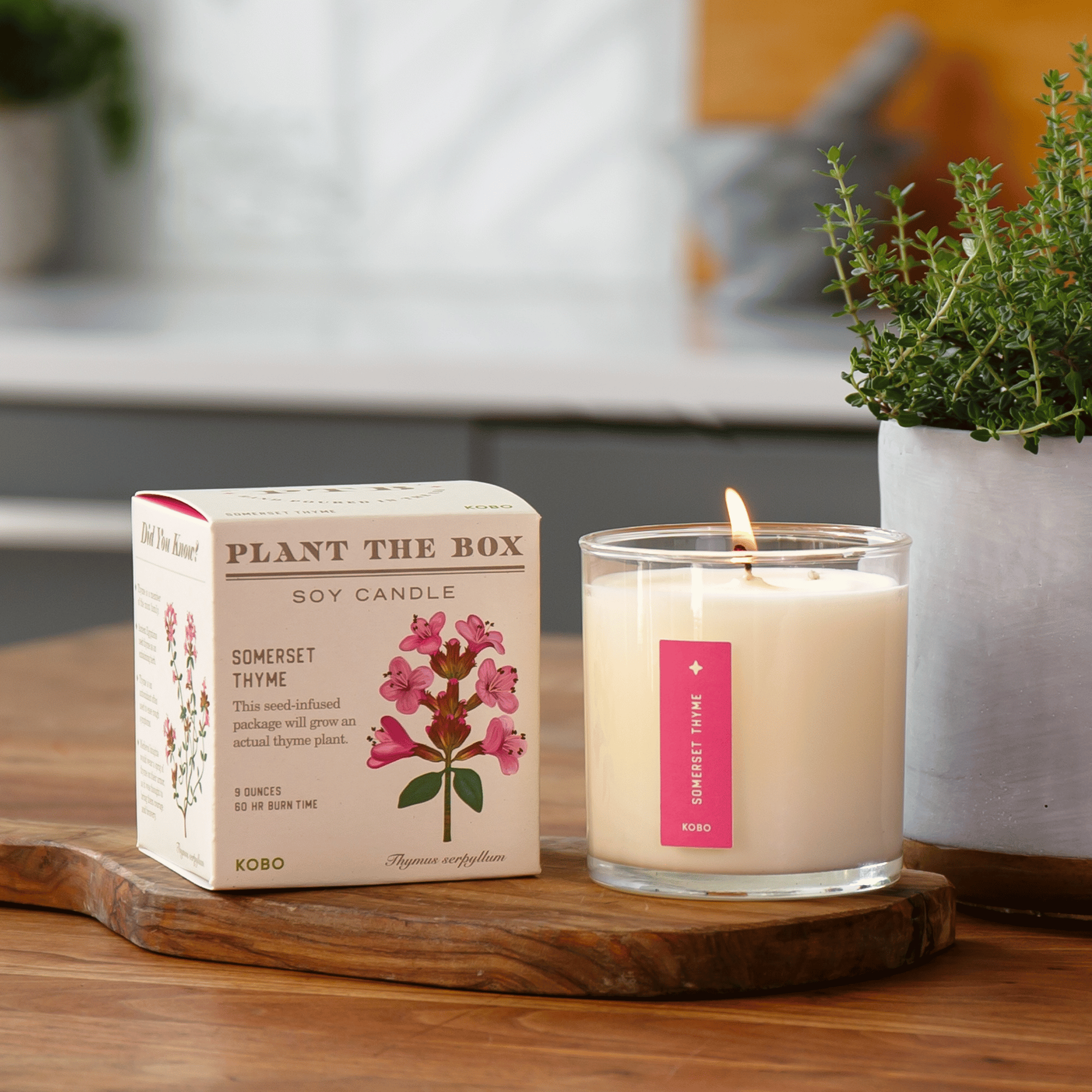 Kobo Somerset Thyme Candle - Thumbnail 5