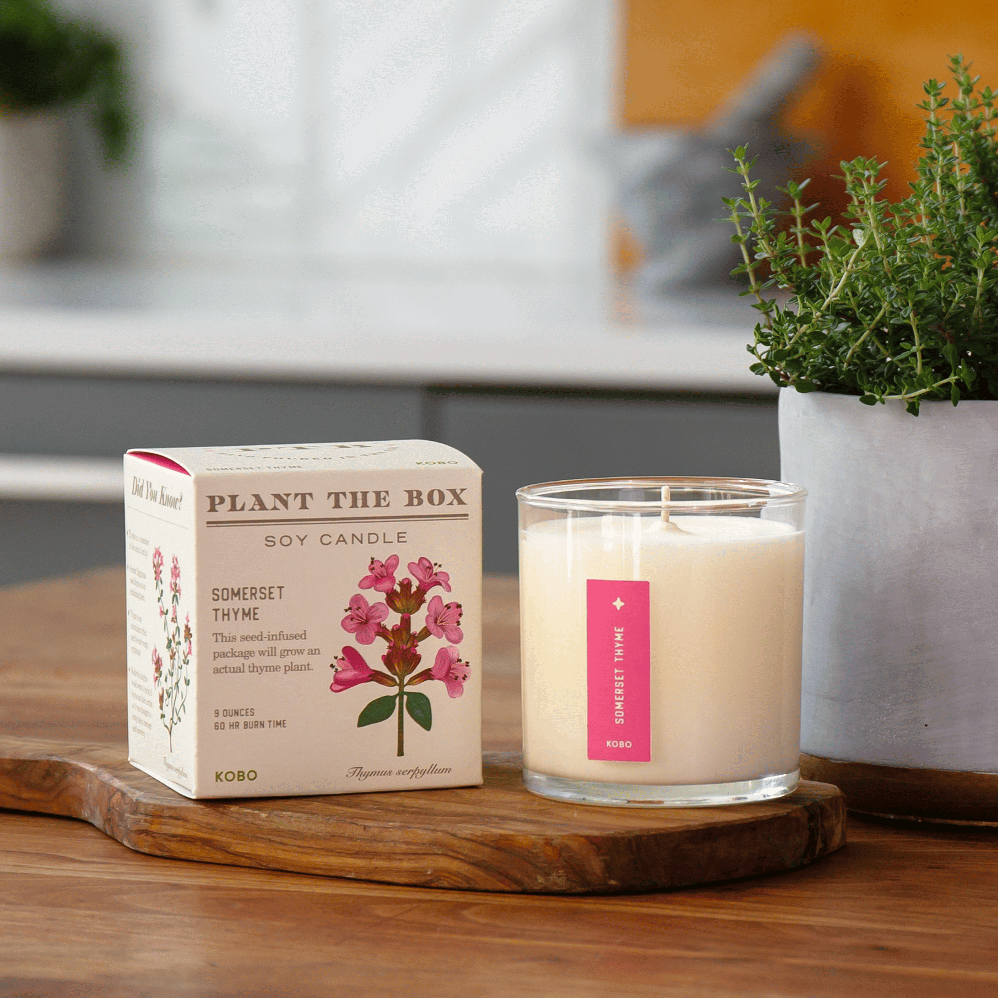 Kobo Somerset Thyme Candle - Thumbnail 3