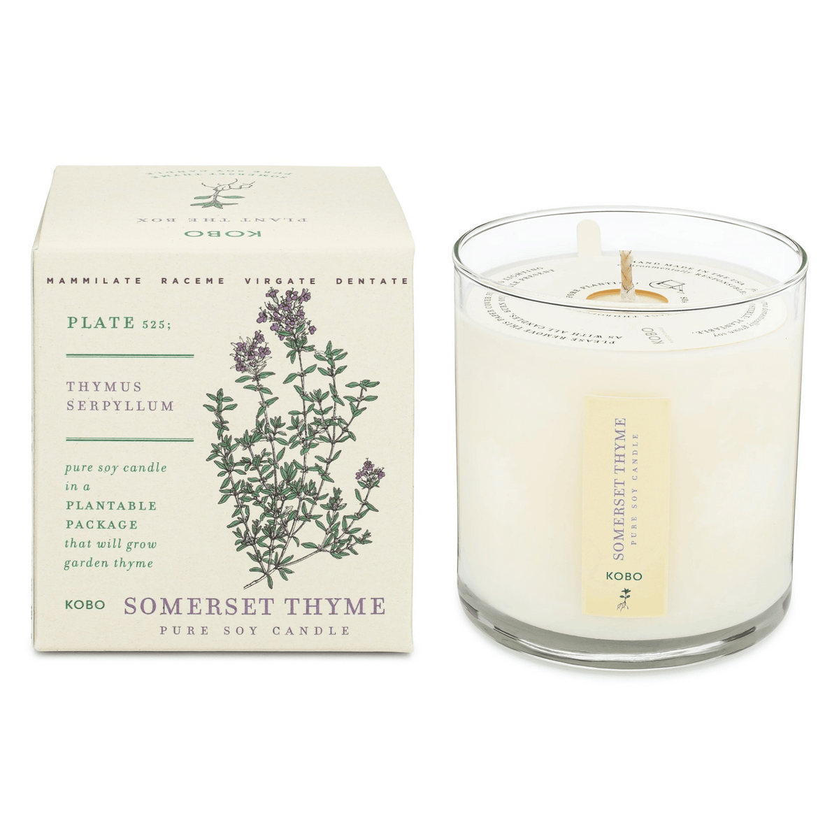 Primary Image of Somerset Thyme Plant the Box Candle