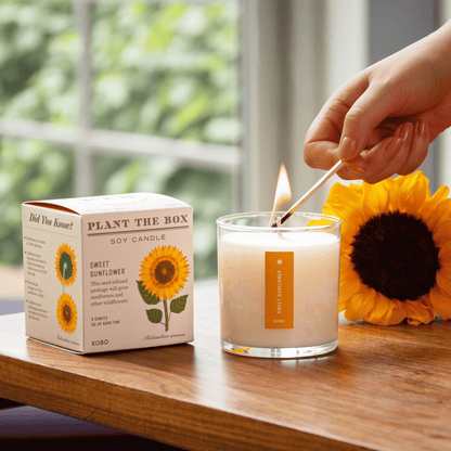Alternate Image of Sweet Sunflower Plant the Box Candle
