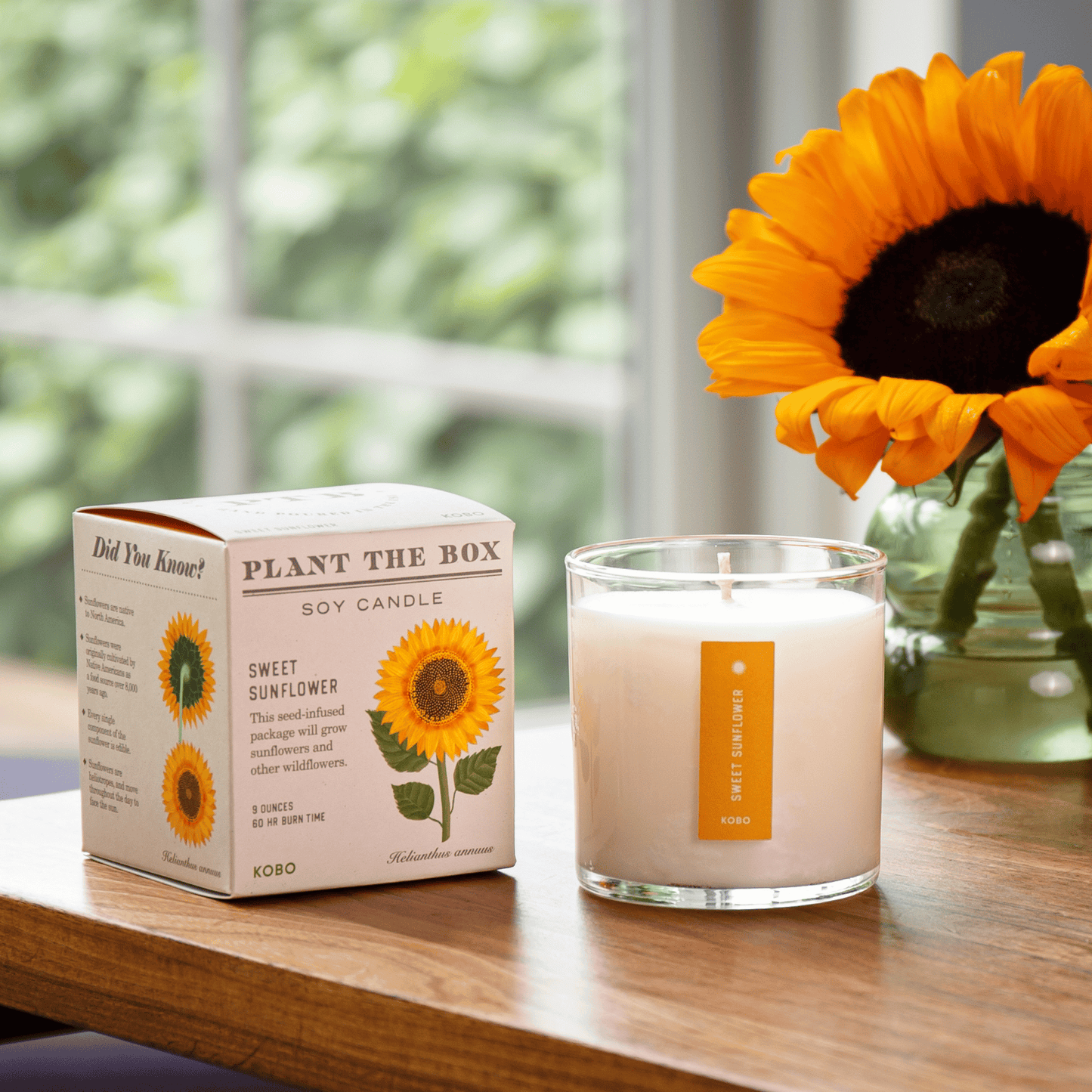 Alternate Image of Sweet Sunflower Plant the Box Candle