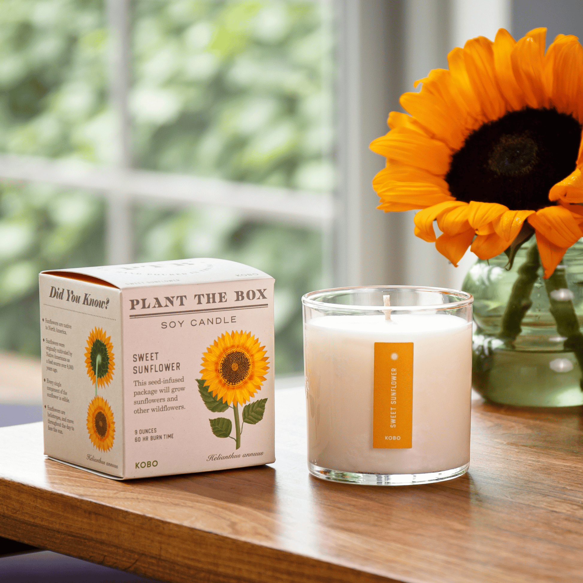 Alternate Image of Sweet Sunflower Plant the Box Candle