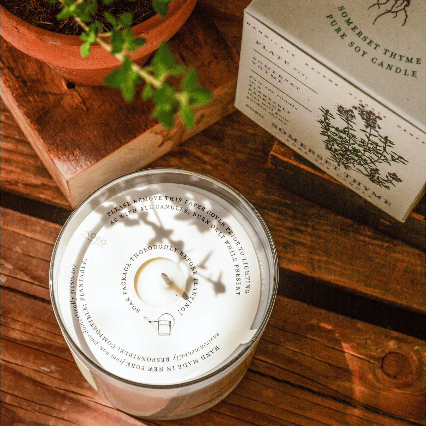 Alternate Image of Somerset Thyme Plant the Box Candle
