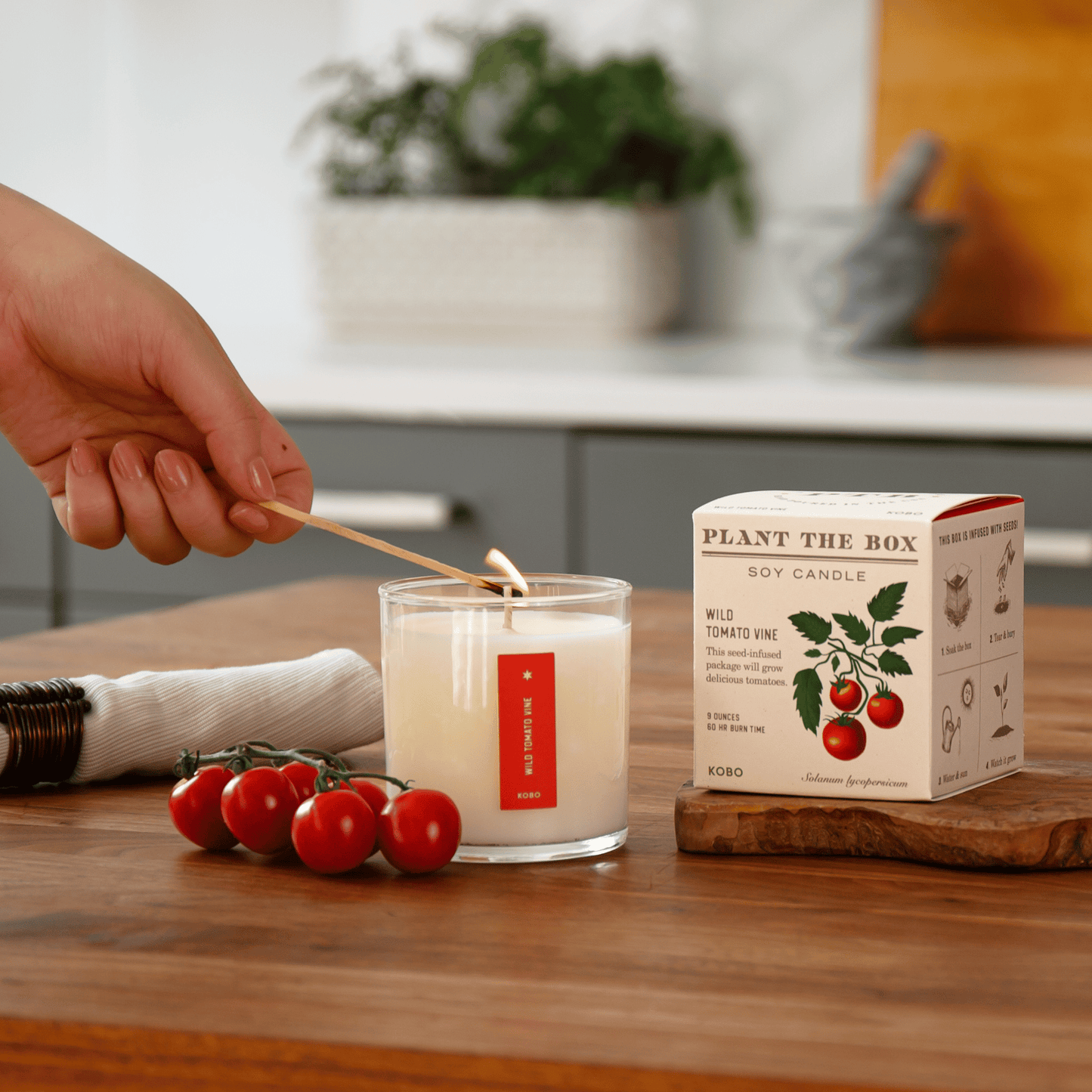 Alternate Image of Wild Tomato Vine Plant the Box Candle