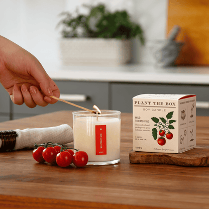 Alternate Image of Wild Tomato Vine Plant the Box Candle