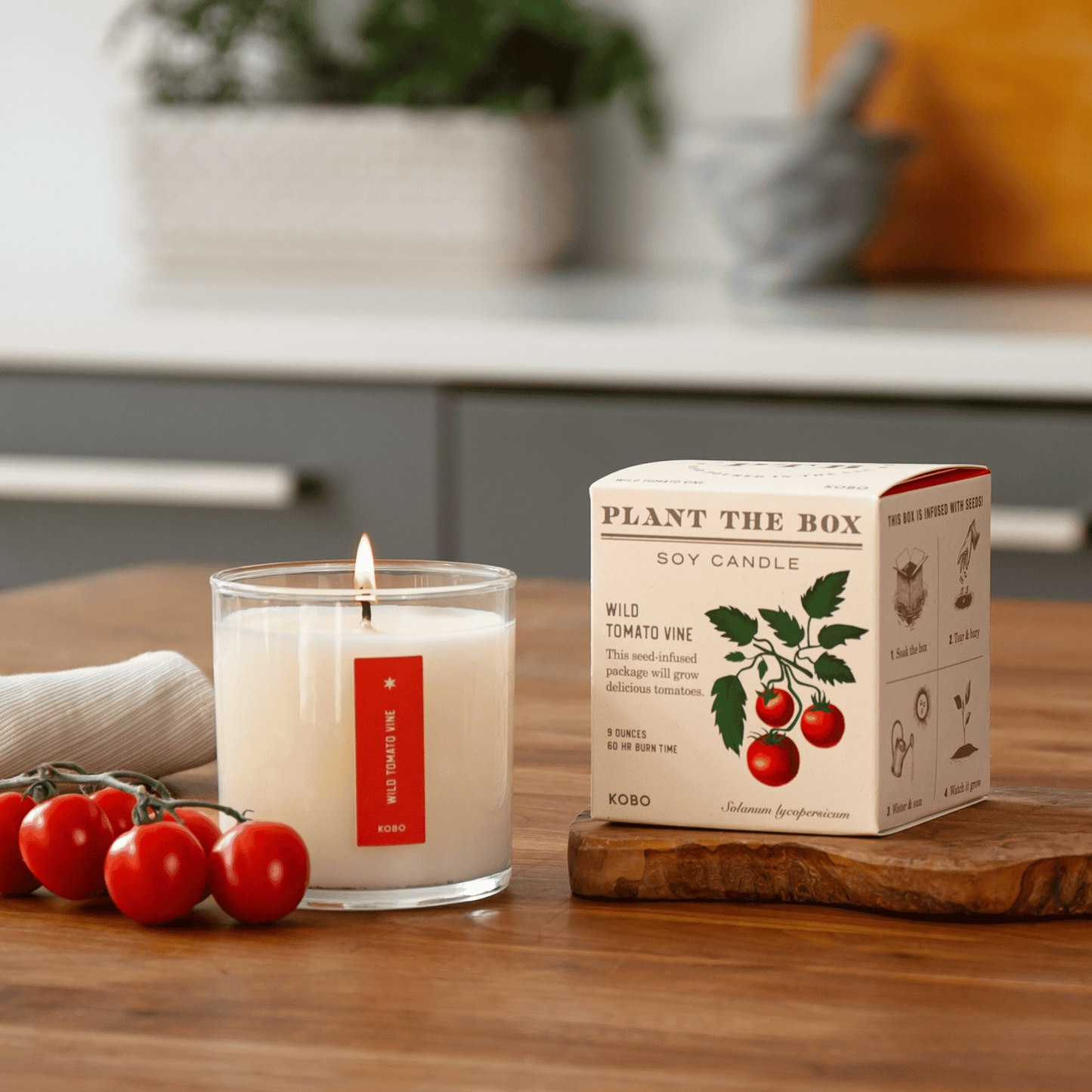 Alternate Image of Wild Tomato Vine Plant the Box Candle
