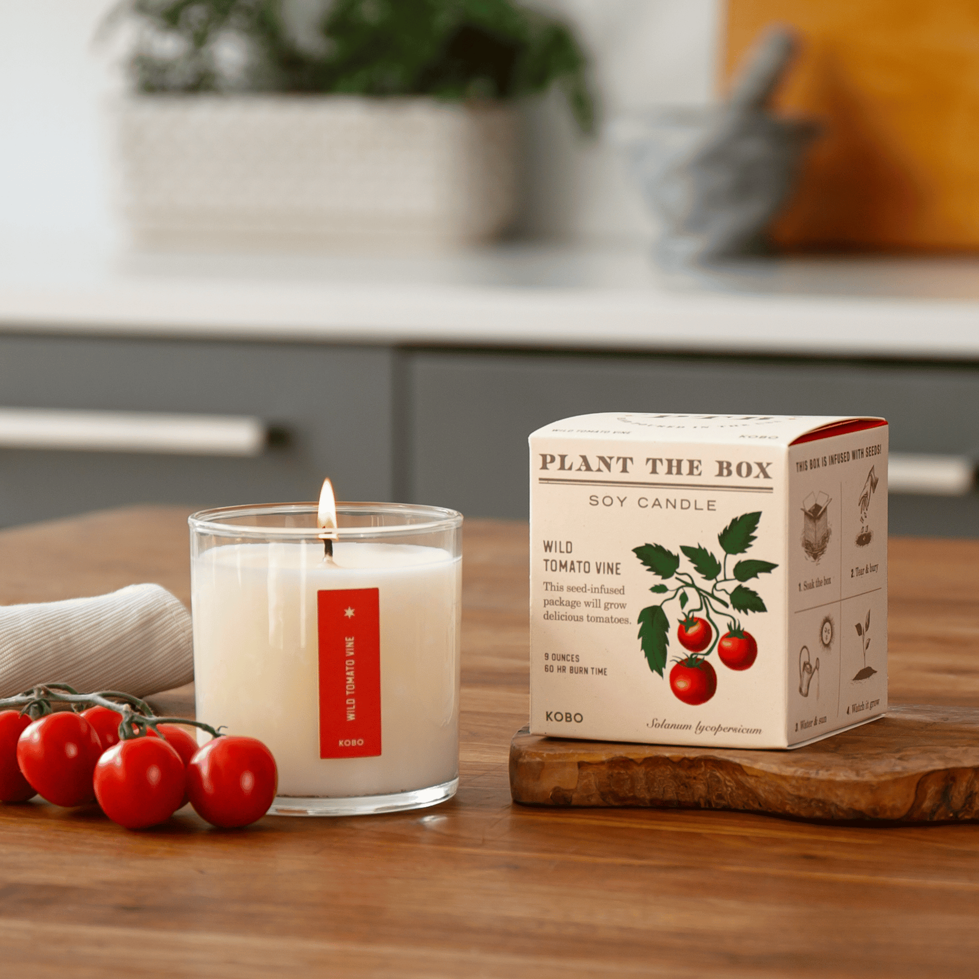 Alternate Image of Wild Tomato Vine Plant the Box Candle