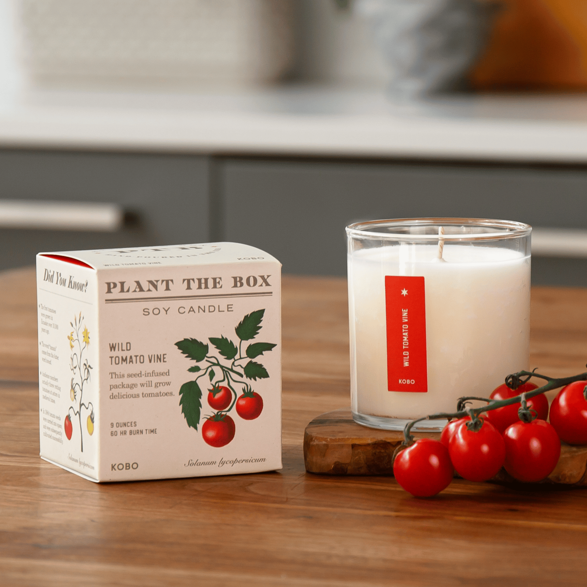 Alternate Image of Wild Tomato Vine Plant the Box Candle