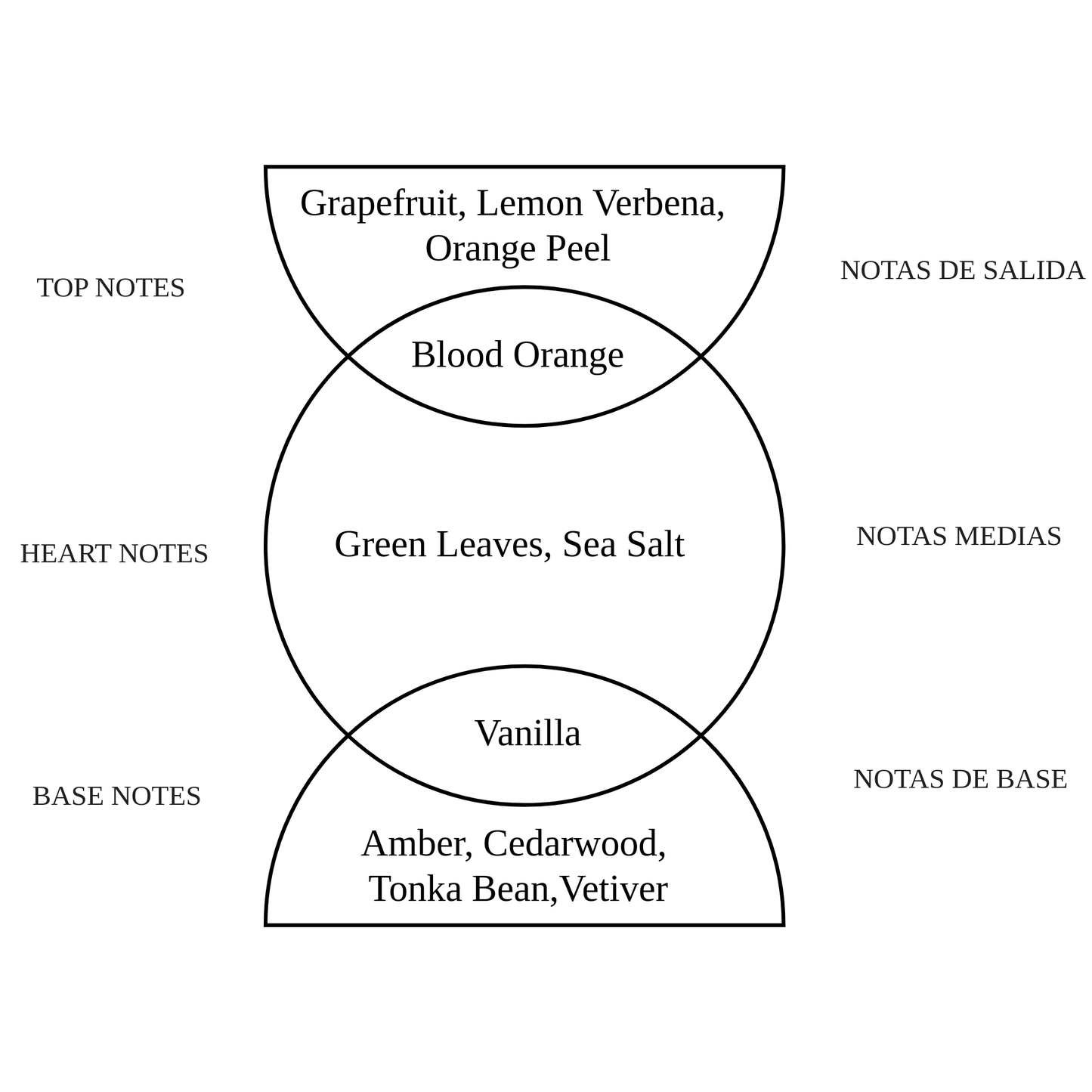 Alternate Image of Dawn Notes