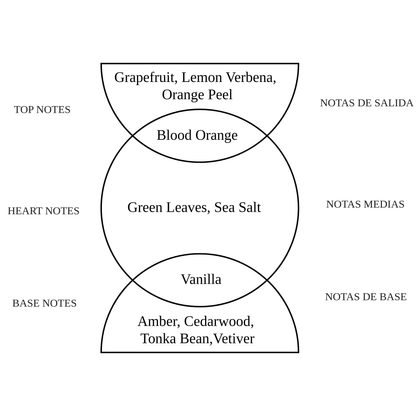 Alternate Image of Dawn Notes