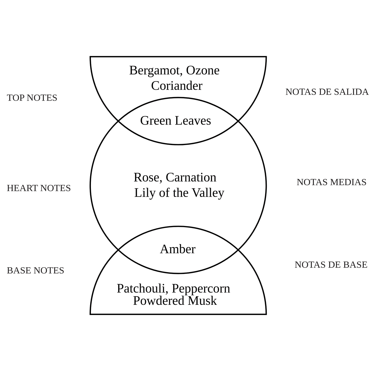 Alternate Image of Rosa Notes