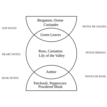 Alternate Image of Rosa Notes