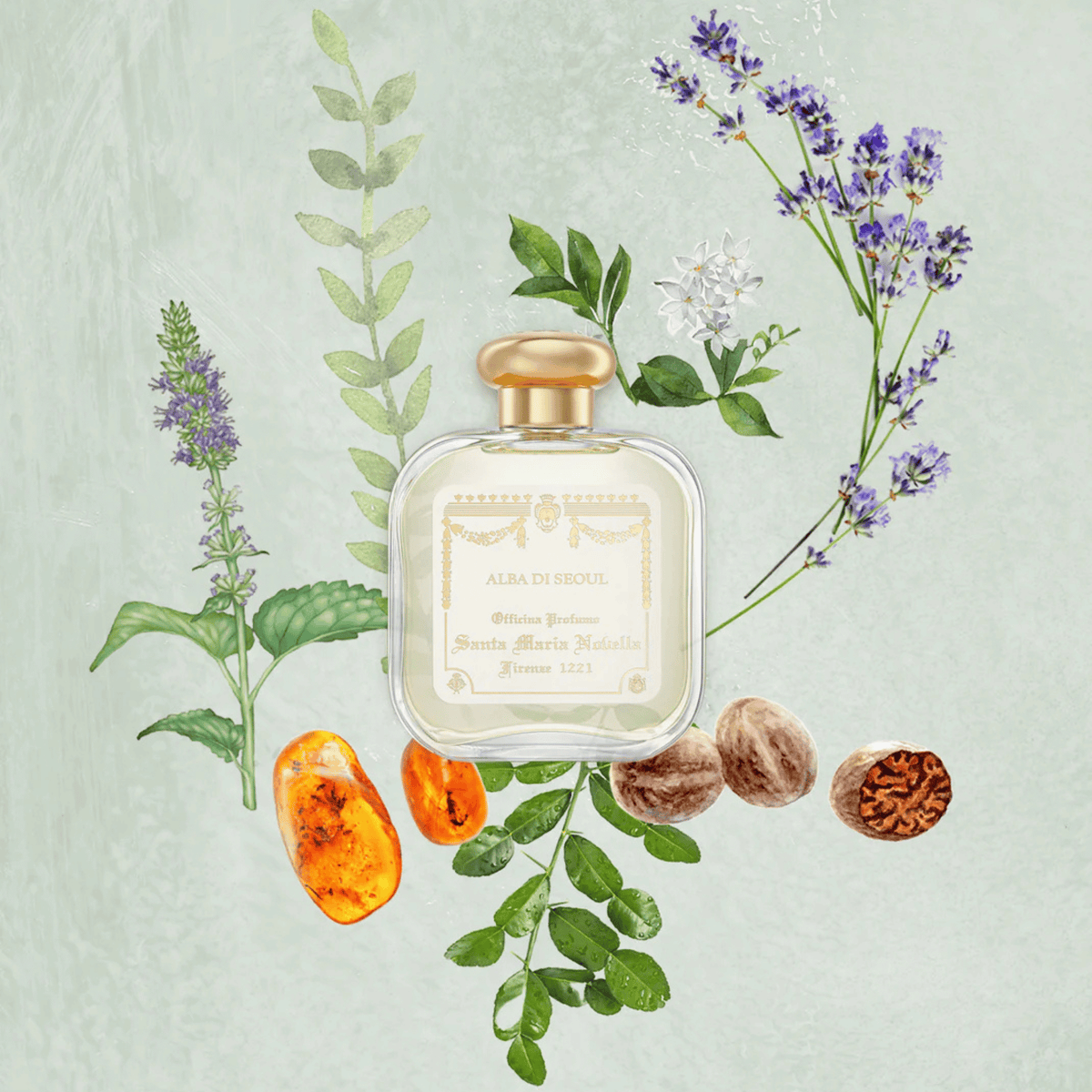 Santa Maria Novella Alba di Seoul Eau de Cologne (100 ml Santa Maria Novella Alba di Seoul Eau de Cologne (100 ml