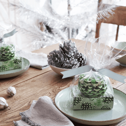 Alternate Image of Roland Pine Candle Tin & Soap Gift Set