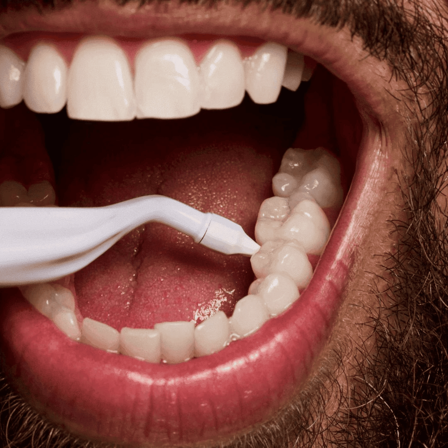 Alternate Image of Lilac Original Reusable Toothpick