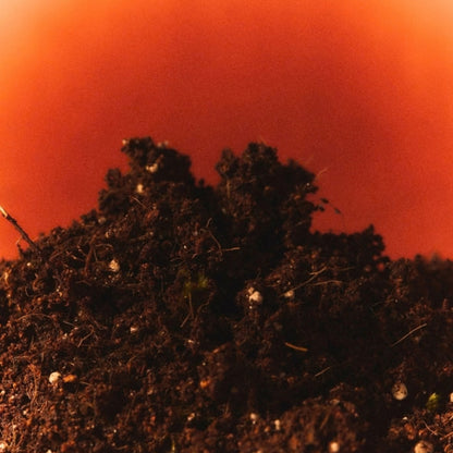 Alternate Image of Heatwave Candle, soil