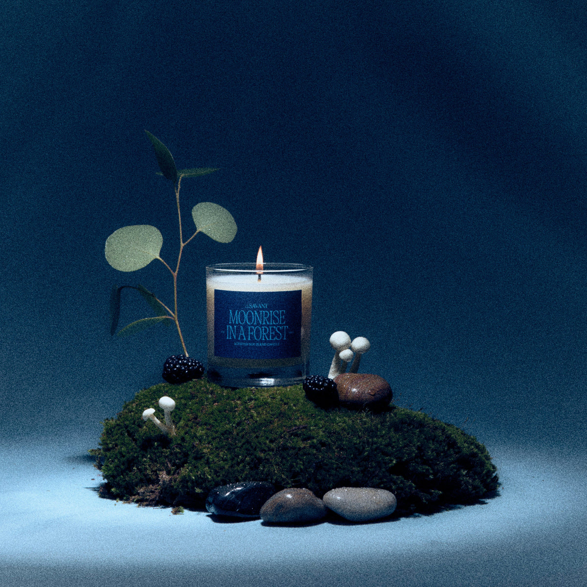 Alternate Image of Moonrise in a Forest Candle, candle with dark label in a moody forest setting