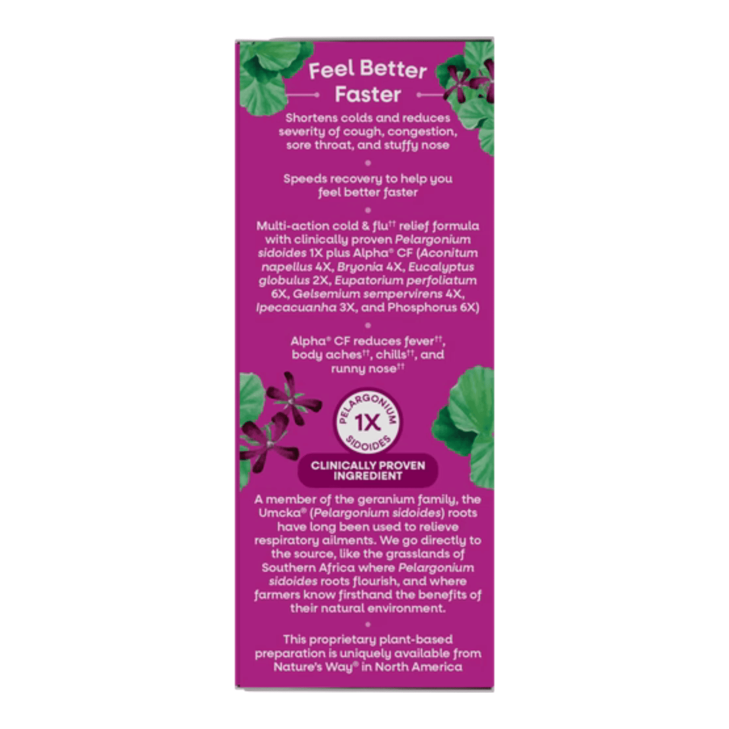 Alternate Image of Umcka Berry Cold & Flu Relief Syrup Berry Flavor