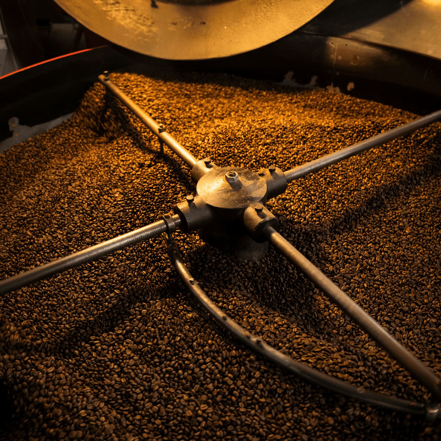 Alternate Image of Herbal Harmony Coffee