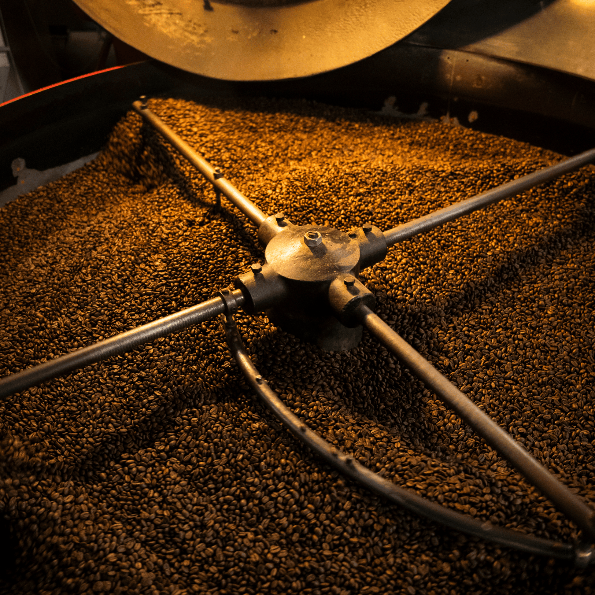 Alternate Image of Herbal Harmony Coffee