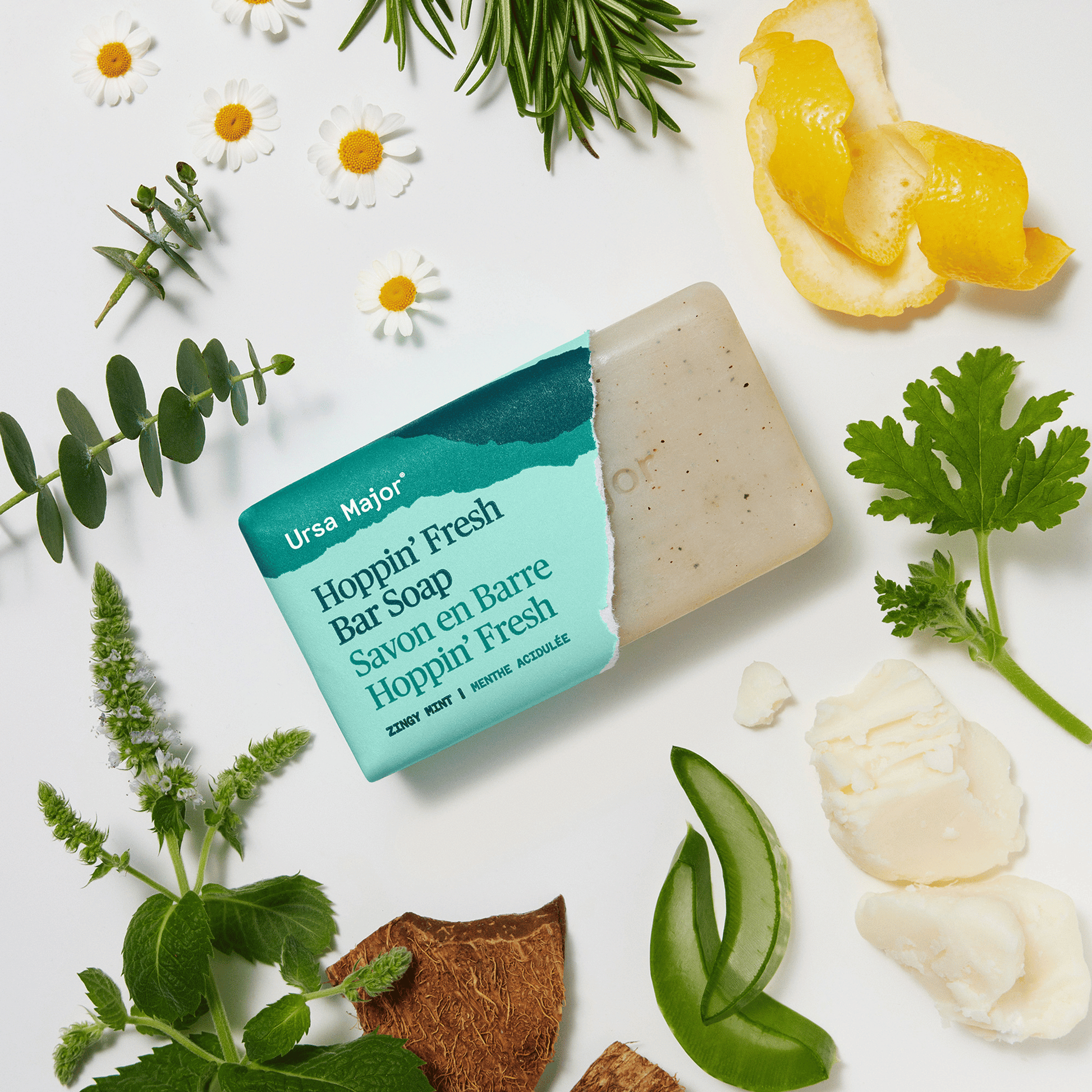 Alternate Image of Hoppin' Fresh Bar Soap