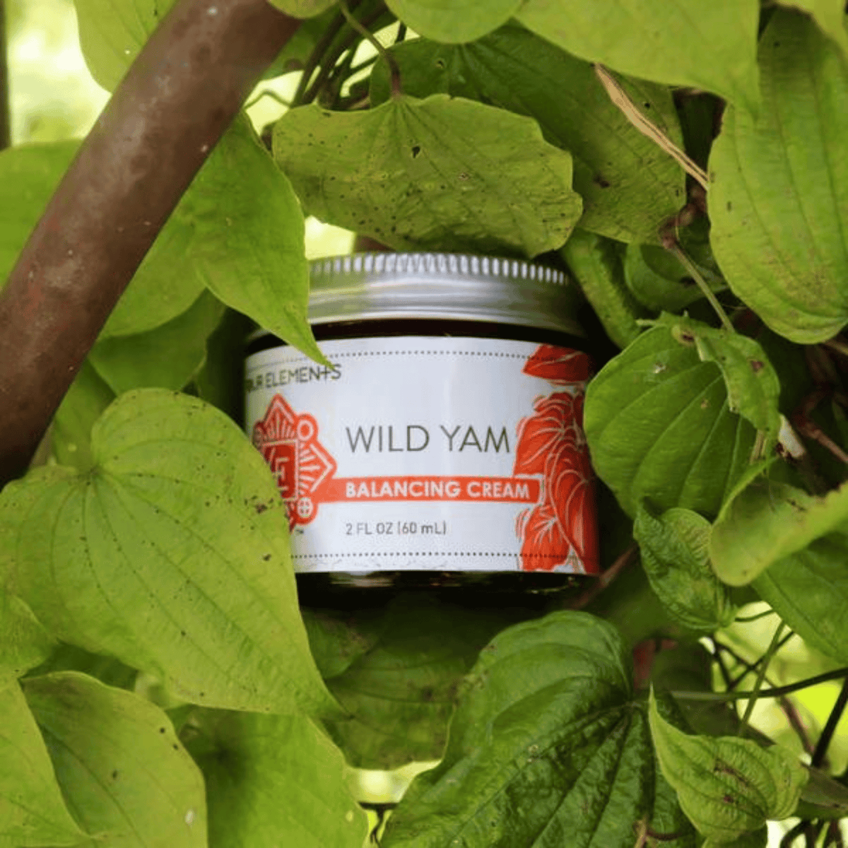 Alternate Image of Wild Yam Balancing Cream