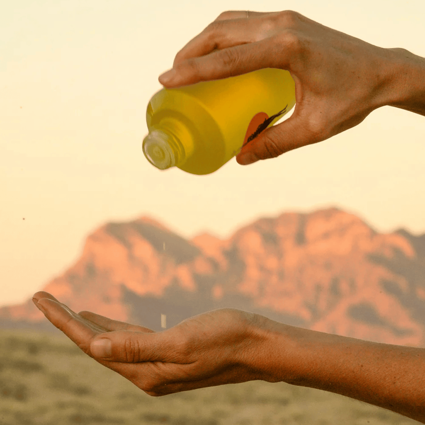 Alternate Image of Hinoki Body Oil