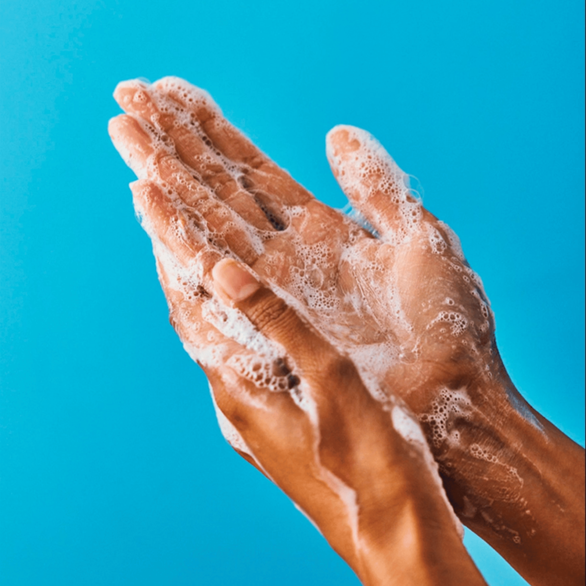 Alternate Image of Wild Garden Hand Wash