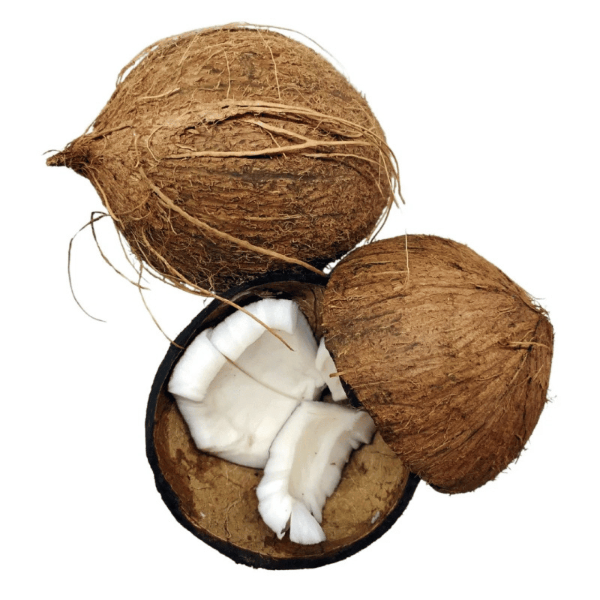 Alternate Image of 100% Organic Coconut Oil
