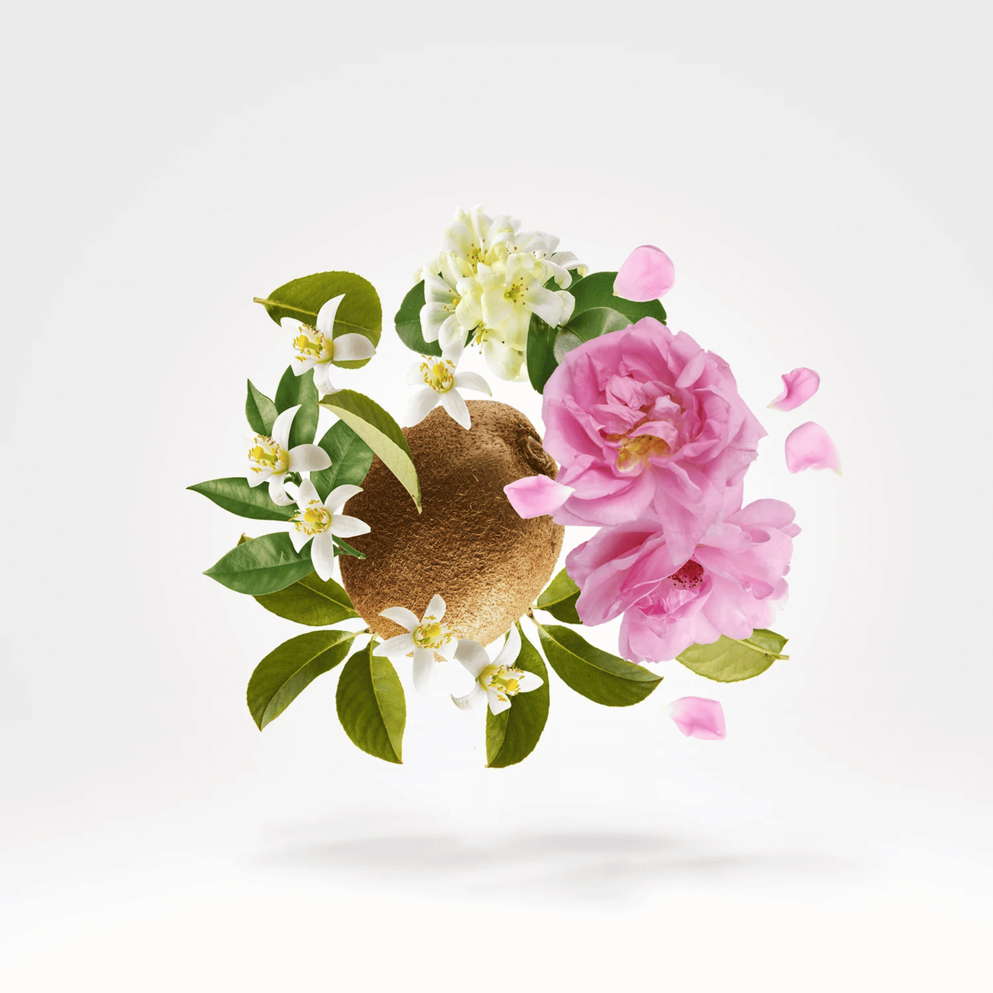 Alternate image of Xerjoff- Oesel Parfum (50 ml) 
